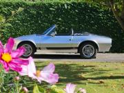 image_0-PUMA GTS Cabriolet - 1978