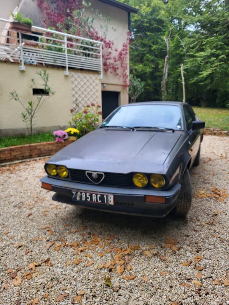 ALFA ROMEO GTV - 1982 LesAnciennes.com