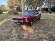 image_0-FORD Mustang V8 COUPE - 1968
