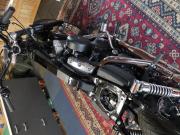 image_5-HARLEY DAVIDSON dyna street bob 1584 - 2008