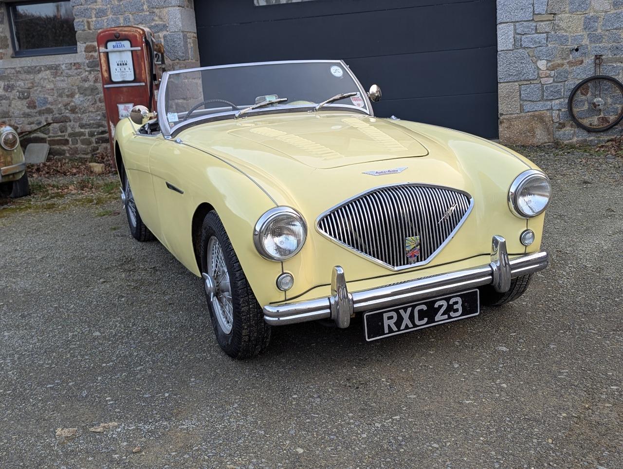 AUSTIN HEALEY 100 BN2 - 1955 LesAnciennes.com
