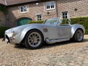 image_0-AC Cobra Shell Valley replica - 1965