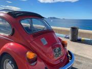 image_16-VOLKSWAGEN Coccinelle 1200 - 1976