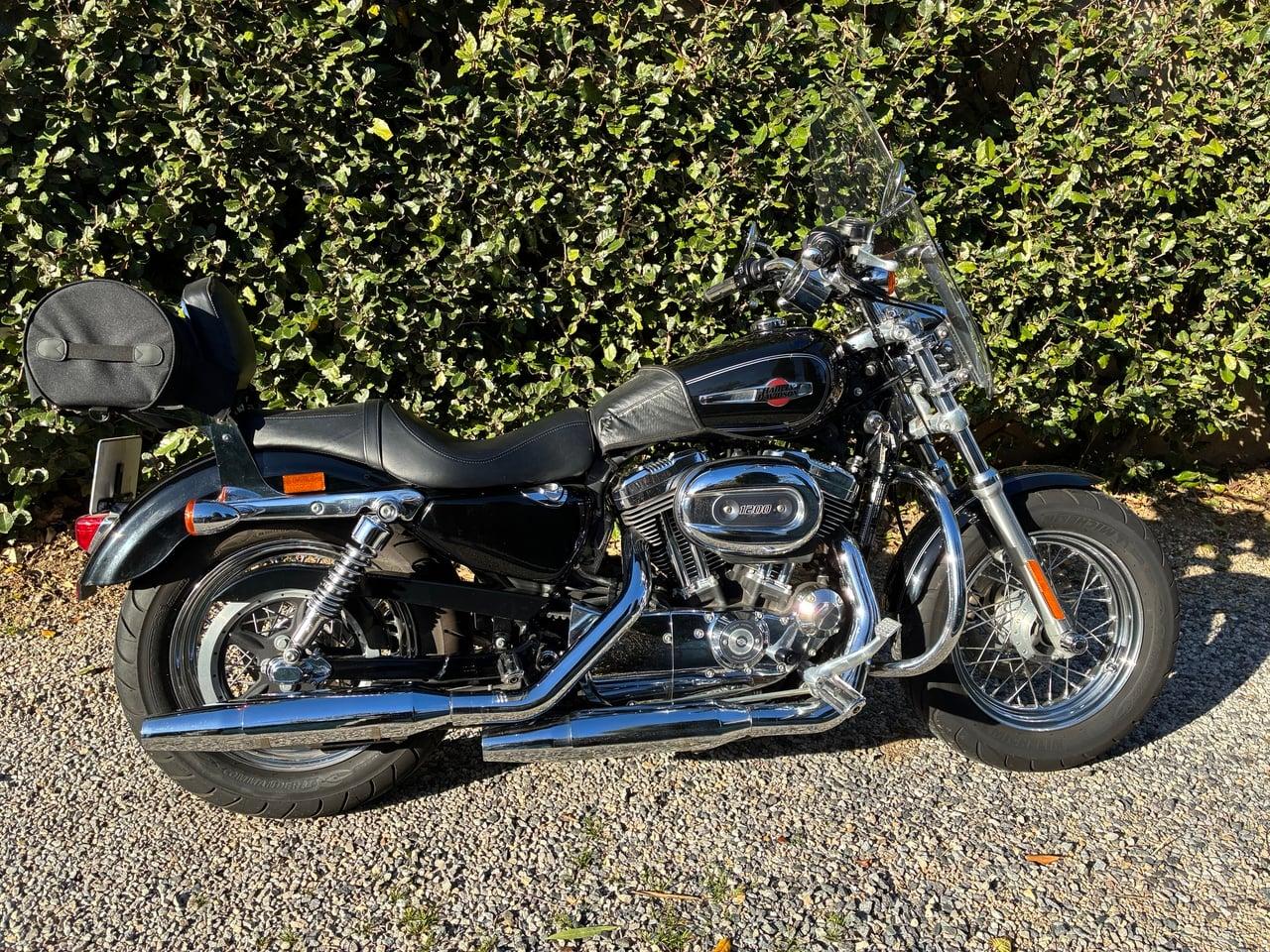 2011 Harley Davidson XL1200 Custom Sportster LesAnciennes.com