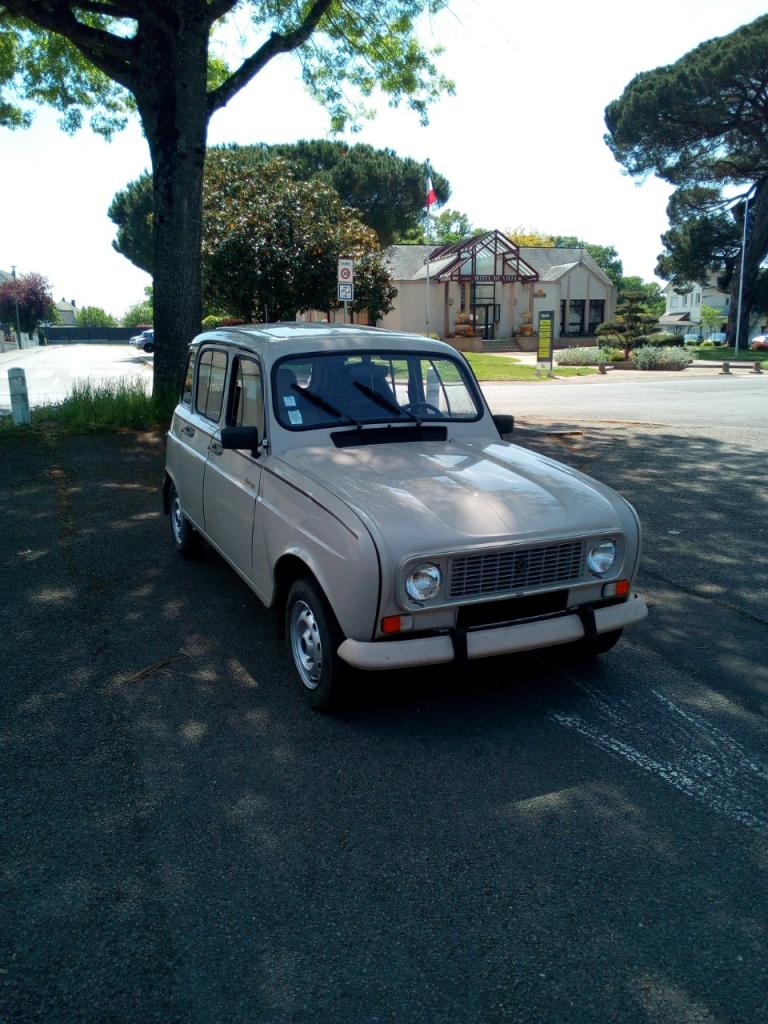 RENAULT 4L (R4L) SAVANE - 1990 LesAnciennes.com