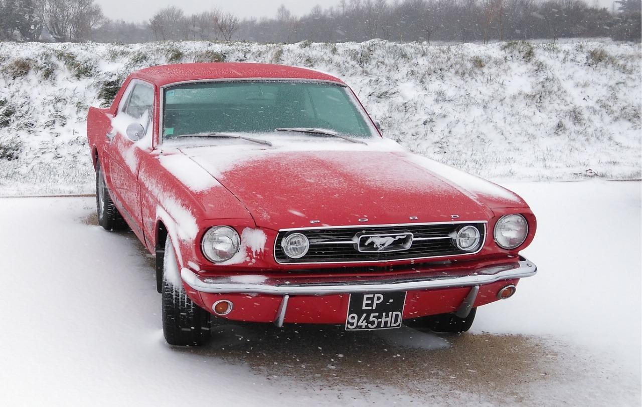 FORD Mustang - 1966 LesAnciennes.com