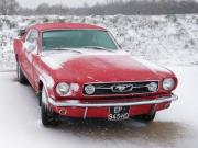 image_0-FORD Mustang - 1966