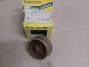 image_0-Thermostat Renault R20 L TL GTL