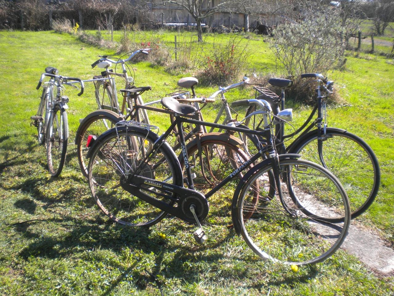6 vélos cycles bicyclettes vintage alcyon peugeot LesAnciennes.com