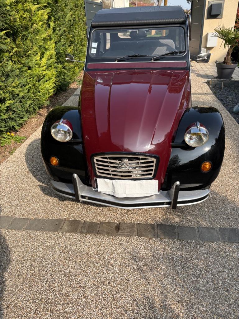 CITROEN 2CV Charleston - 1983 LesAnciennes.com