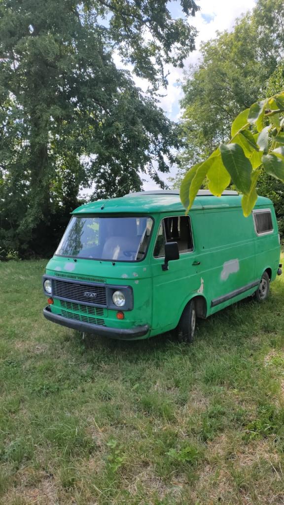 FIAT 238 E Campereve - 1980 LesAnciennes.com