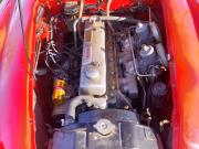 image_4-AUSTIN HEALEY 3000 Bt7 Mk1 1959 - 1959