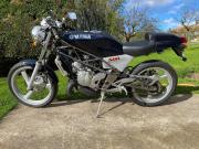 image_2-YAMAHA 200 SDR - 1987