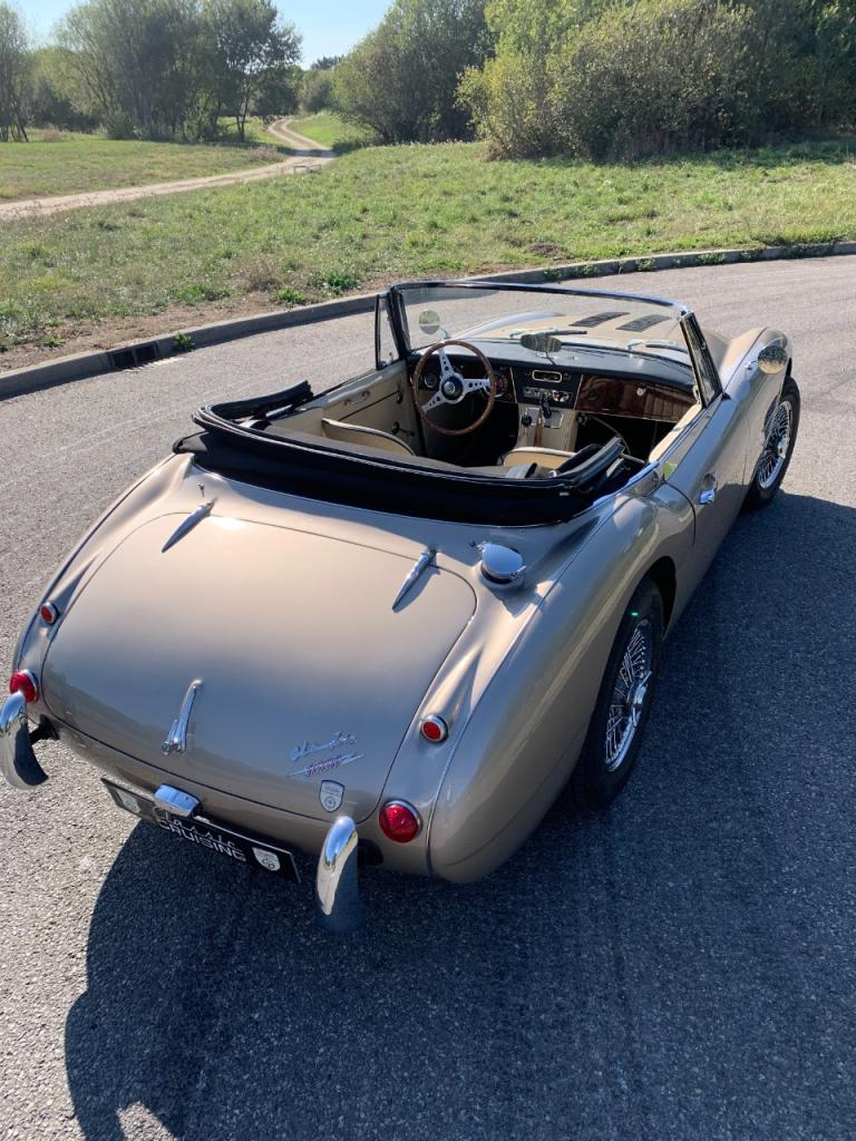 AUSTIN HEALEY 3000 BJ8 - 1965 LesAnciennes.com