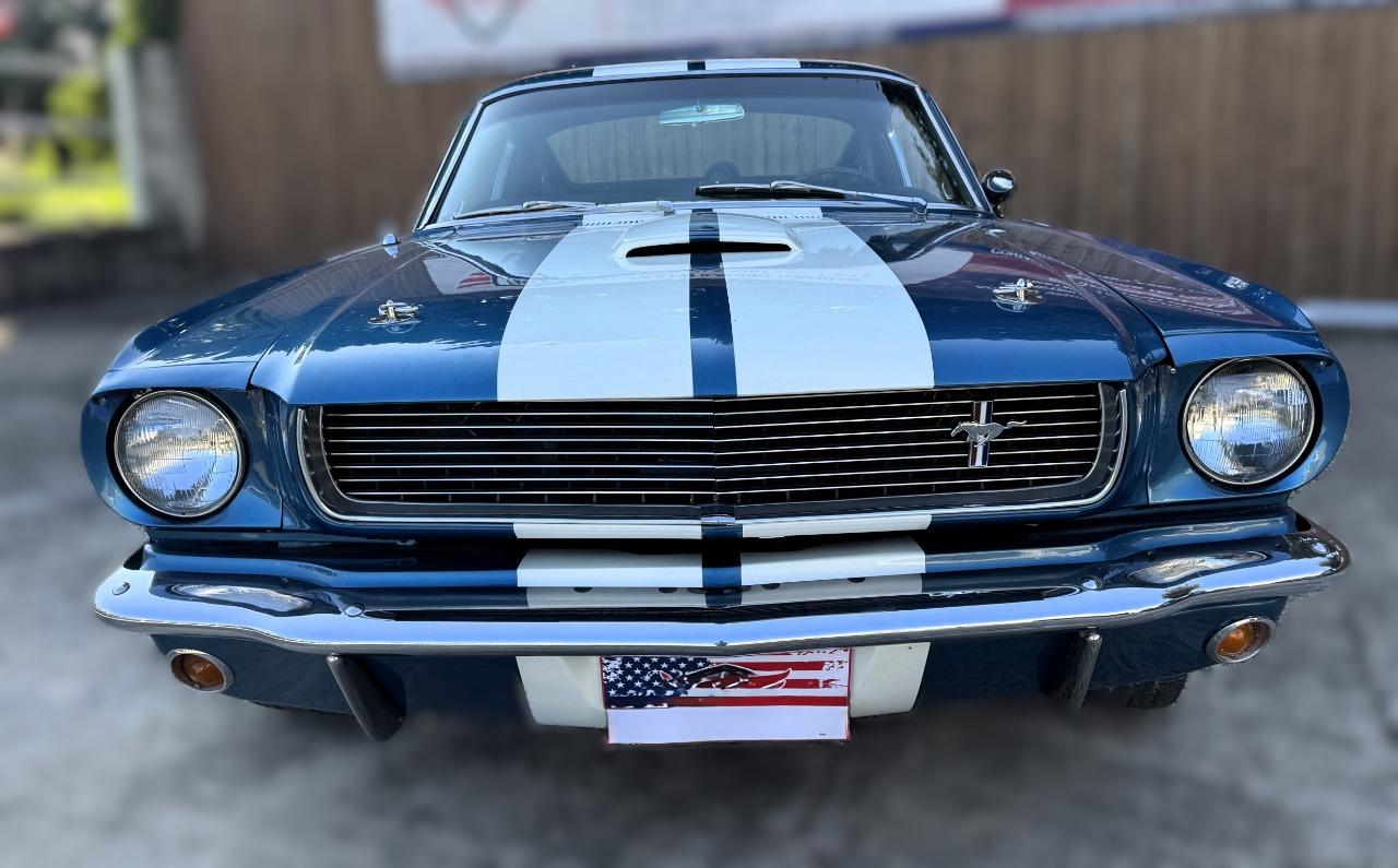 FORD Mustang SHELBY GT 350 - 1965 LesAnciennes.com