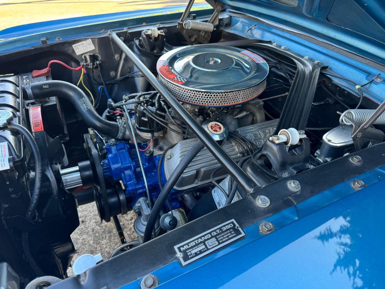 FORD Mustang SHELBY GT 350 - 1965 LesAnciennes.com