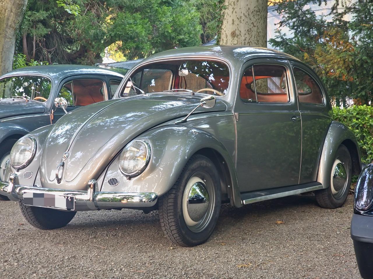 VOLKSWAGEN Coccinelle Ovale - 1956 LesAnciennes.com