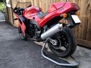 image_5-TRIUMPH 900 DAYTONA - 1994