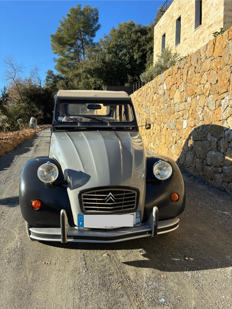 CITROEN 2CV Charleston - 1985 LesAnciennes.com