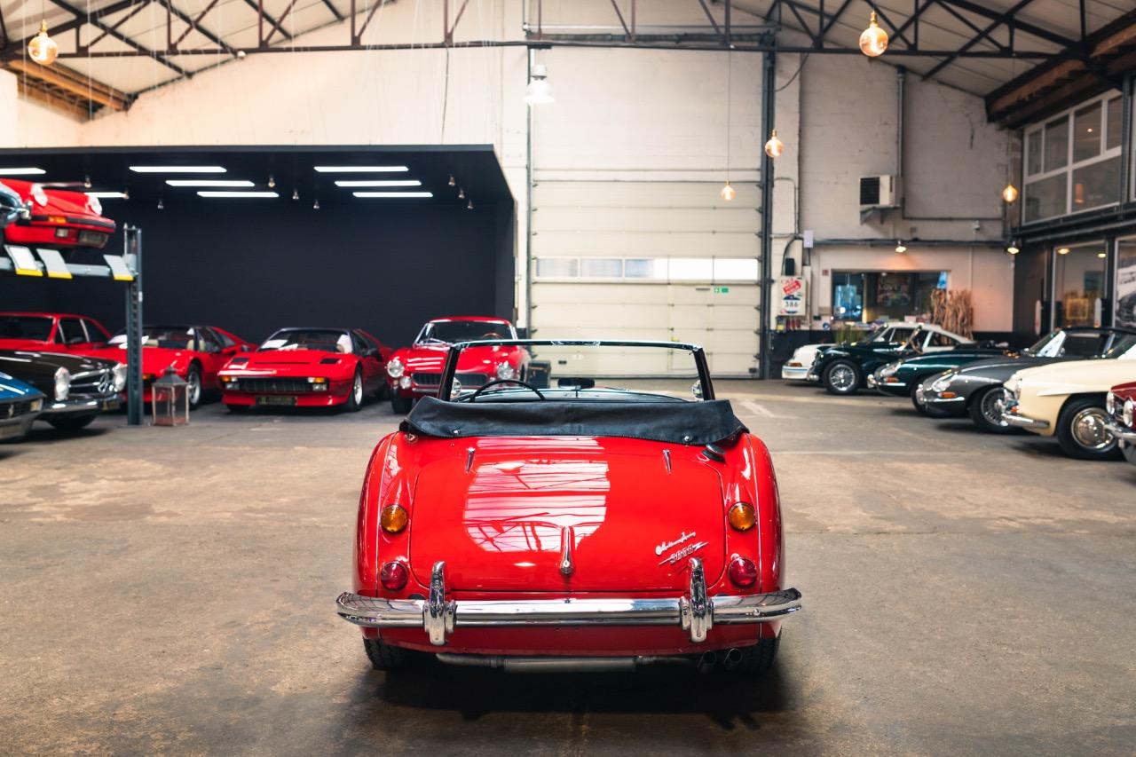 1967 AUSTIN HEALEY 3000 MKIII BJ8 Phase 2, foto 5
