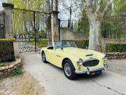 image_0-AUSTIN HEALEY 100 100/6 BN6 - 1958