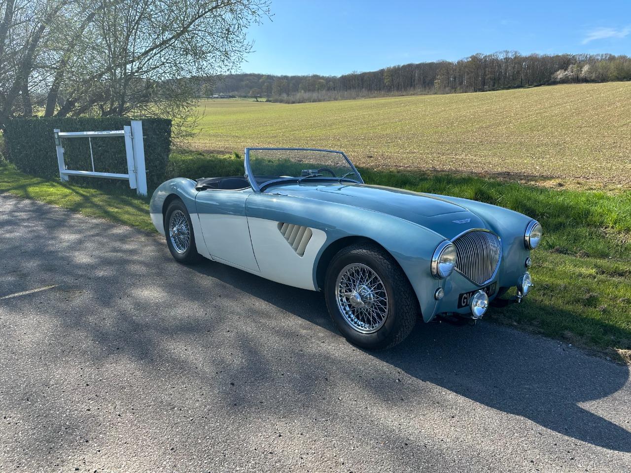 AUSTIN HEALEY 100 BN2 - 1956 LesAnciennes.com