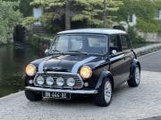 image_0-ROVER Mini Mini 1300 carbu - 1993