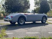 image_3-MG MGA 1500 - 1959
