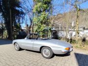 image_0-ALFA ROMEO Spider queue ronde - 1968