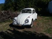 image_4-VOLKSWAGEN Coccinelle - 1967
