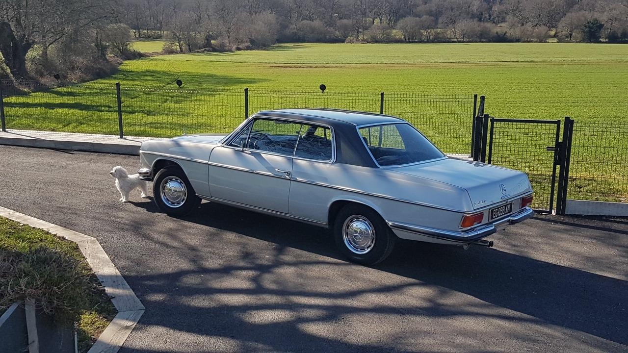 MERCEDES 280 CE W114 - 1973 LesAnciennes.com