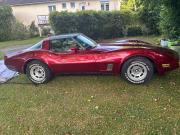 image_0-CHEVROLET Corvette Stingray - 1981
