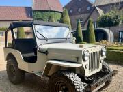 image_4-JEEP Willys CJ3B - 1956