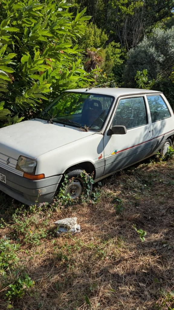 RENAULT Super 5 LesAnciennes.com