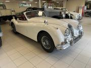 image_3-JAGUAR XK140 DHC - 1954