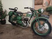 image_0-TERROT 350 HDL HD - 1938