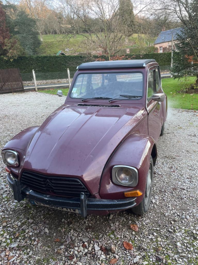 CITROEN Dyane 6 - 1976 LesAnciennes.com