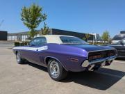 image_97-DODGE Challenger 440 six pack R/T - 1971