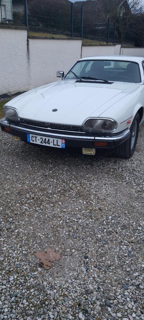 JAGUAR XJS V 12 - 1993 LesAnciennes.com