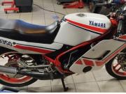 image_1-YAMAHA RD 350 RDLC 350 F2 - 1988