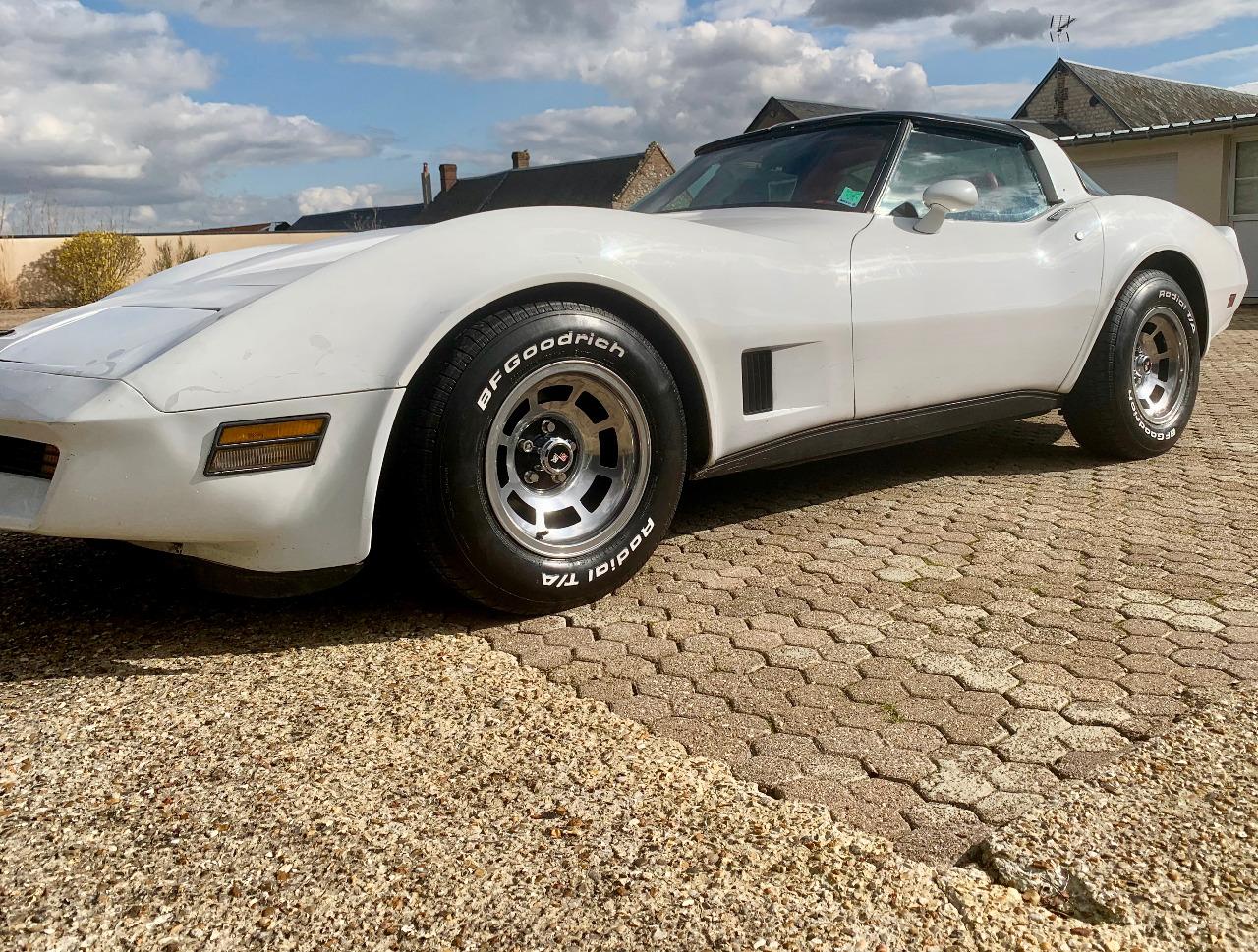 CHEVROLET Corvette C3 STINGRAY - 1981 LesAnciennes.com