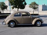 image_5-VOLKSWAGEN Coccinelle 11 Sedan Oval - 1954