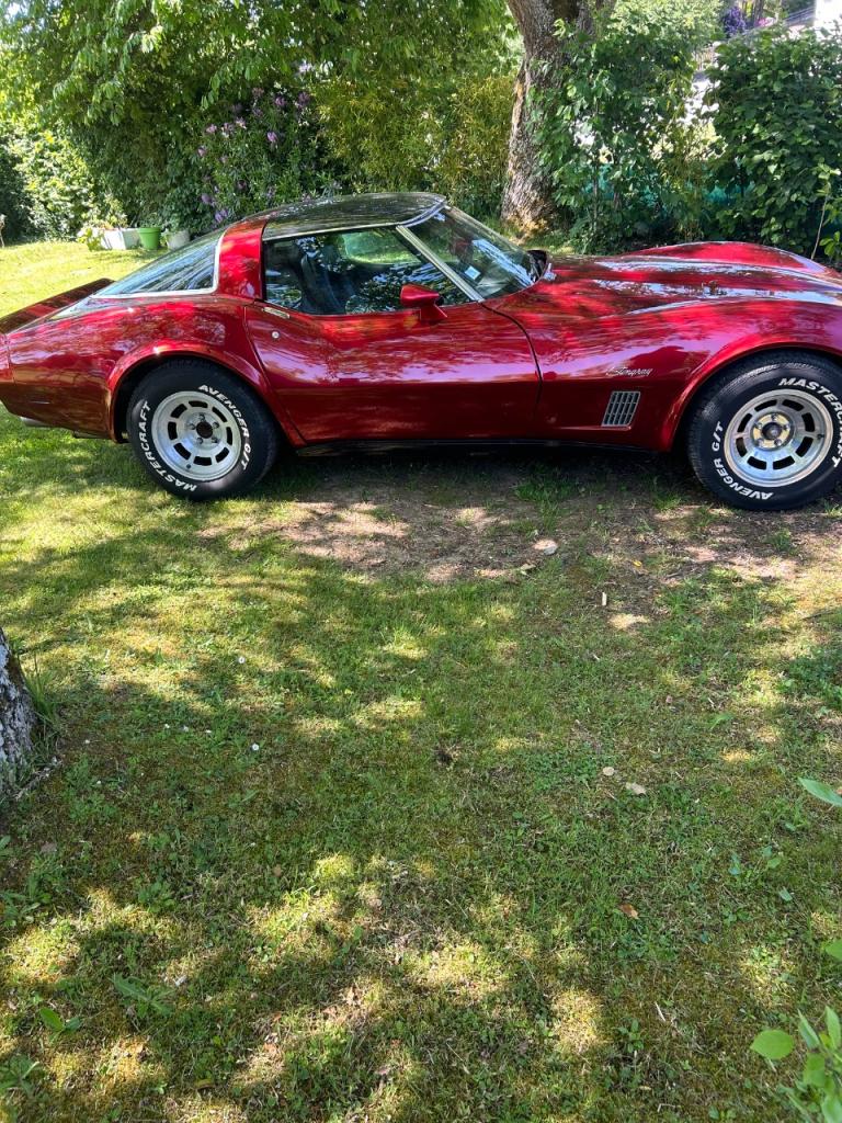 CHEVROLET Corvette C 3 stingray - 1981 LesAnciennes.com