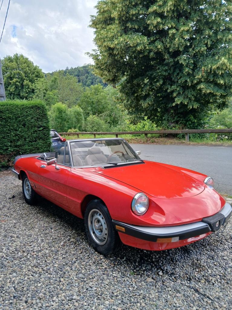 1985 Alfa Romeo Spider 2L Series 3 Graduate LesAnciennes.com