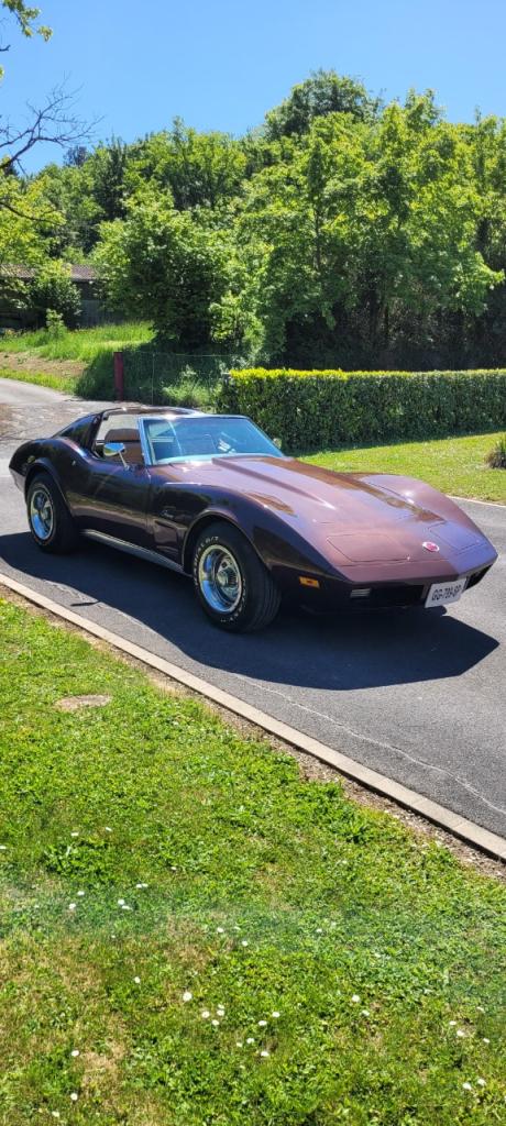 CHEVROLET Corvette C3 Stingray - 1974 LesAnciennes.com