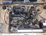 image_4-VOLKSWAGEN Golf 17CK - 1979