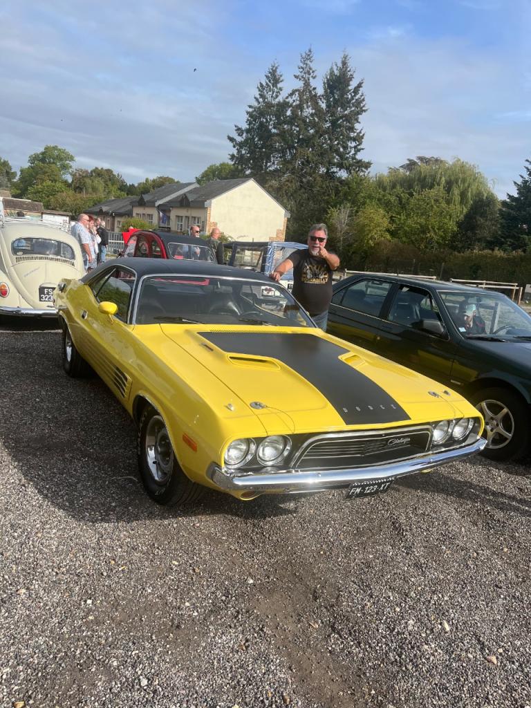 DODGE Challenger Rallye Pack - 1974 LesAnciennes.com