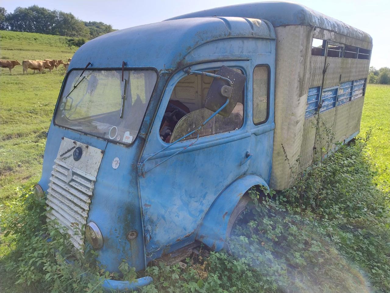 RENAULT Goelette - 1965 LesAnciennes.com