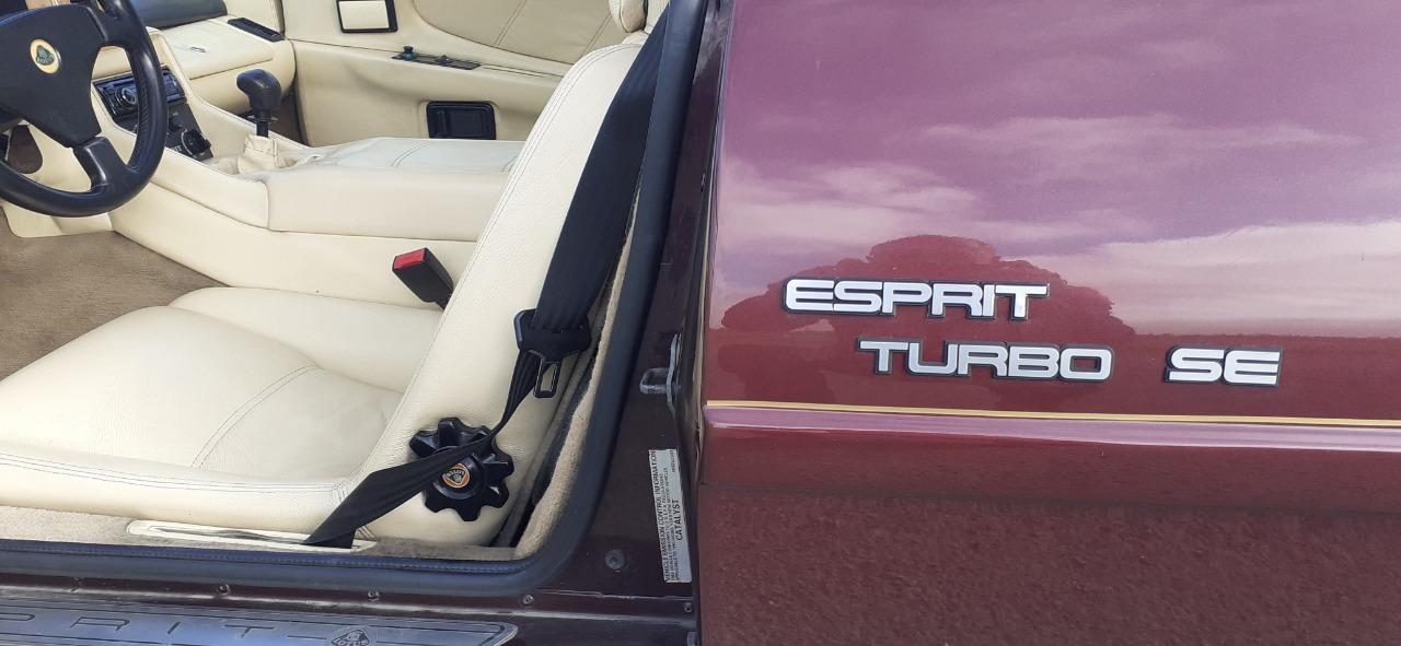 LOTUS Esprit turbo SE - 1990 LesAnciennes.com