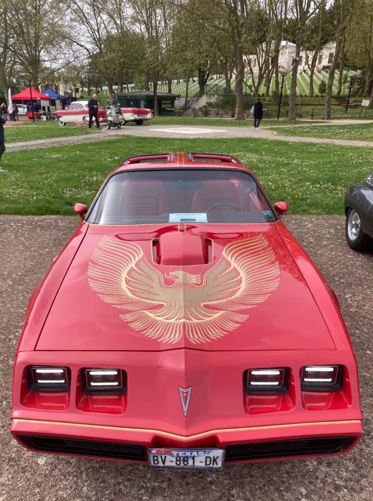 PONTIAC Firebird transam - 1981 LesAnciennes.com